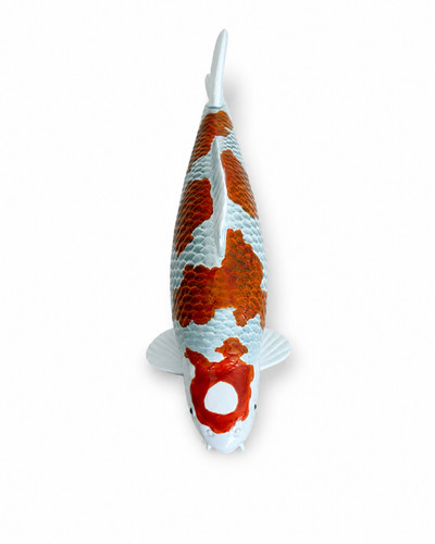 Limitierte koi figur - limitierte,