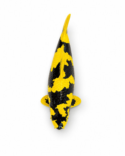 Limitierte koi figur - limitierte, ki
