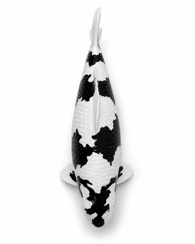 Limitierte koi figur shiro - limitierte,