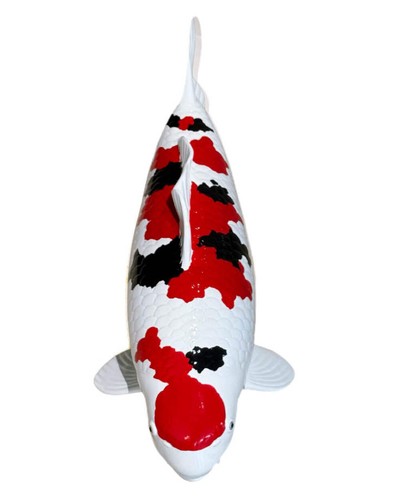 Limitierte koi figur sanke - koi,
