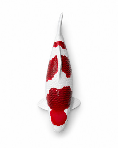 Limitierte koi figur - figur, goromo