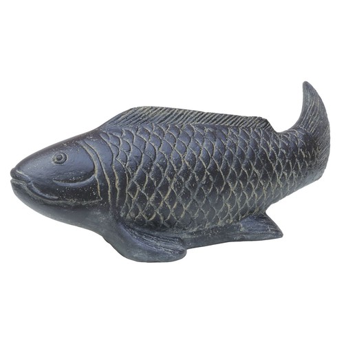 Karpfen koi fisch - xl,