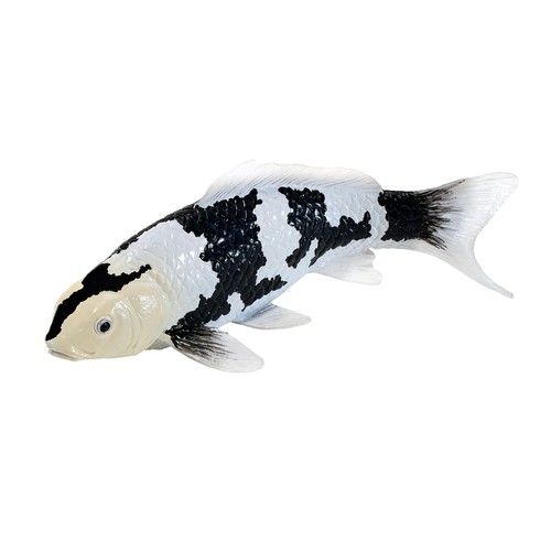 Shiro utsuri koi karpfen - shiro,