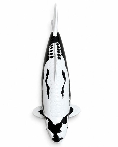 Limitierte koi figur kumonryu - limitierte,