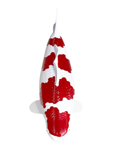 Limitierte koi figur - limitierte,