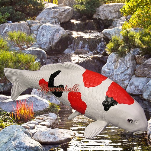 Showa sanshoku koi - showa,